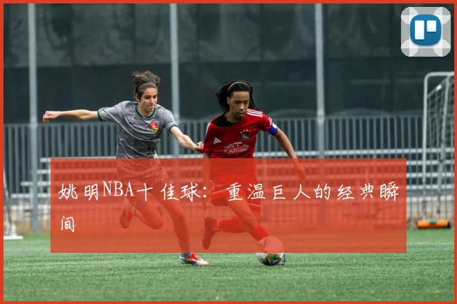 姚明NBA十佳球:重温巨人的经典瞬间