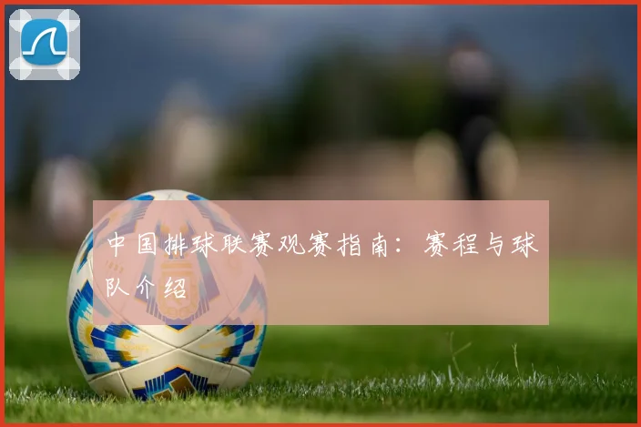 中国排球联赛观赛指南：赛程与球队介绍