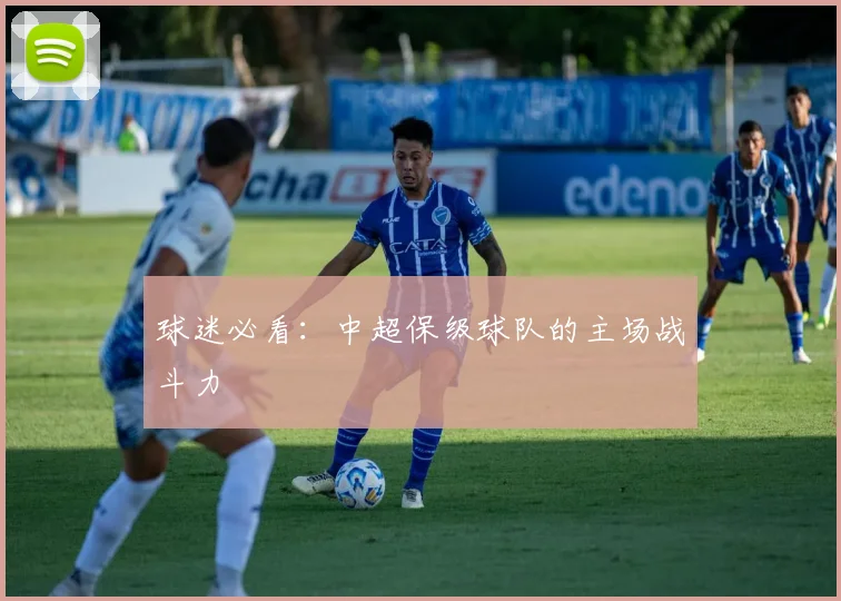 球迷必看：中超保级球队的主场战斗力