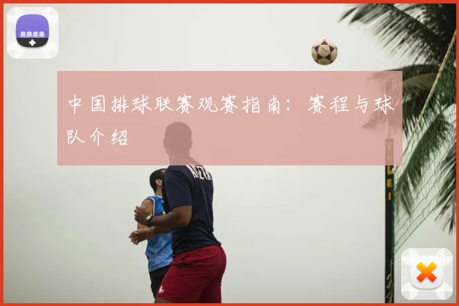 中国排球联赛观赛指南:赛程与球队介绍