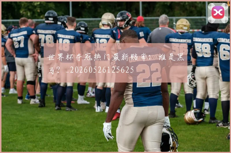 世界杯夺冠热门最新赔率:谁是黑马?_20260526125625