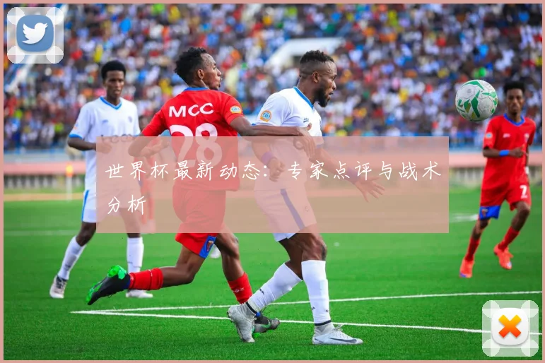 世界杯最新动态:专家点评与战术分析