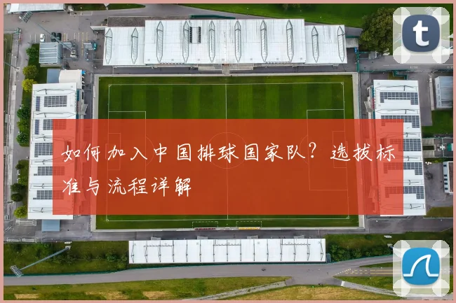 如何加入中国排球国家队？选拔标准与流程详解