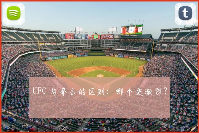 UFC 与拳击的区别:哪个更激烈?
