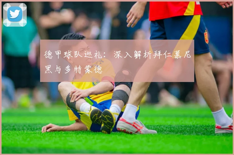 德甲球队巡礼：深入解析拜仁慕尼黑与多特蒙德