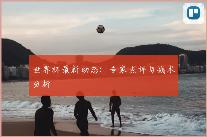 世界杯最新动态：专家点评与战术分析