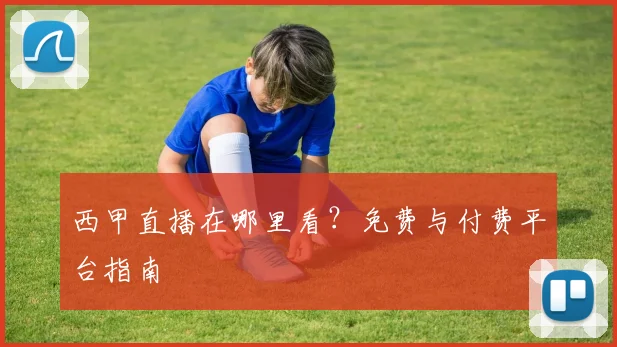 西甲直播在哪里看?免费与付费平台指南